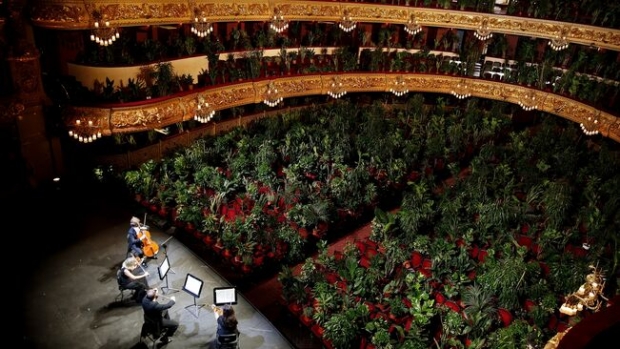 La platea i els palcos del Liceu coberts de plantes en una acció artística. Francesc Melcion