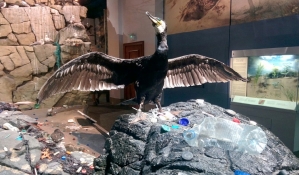 Exposició #NoMorPlastic al National Museum Cardif | Sarah Younan